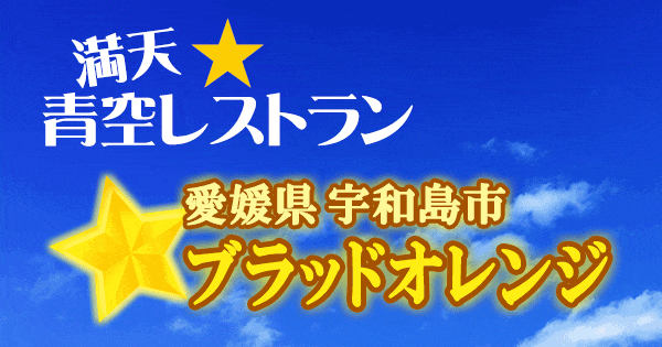 青空レストラン 愛媛 宇和島市 ブラッドオレンジ