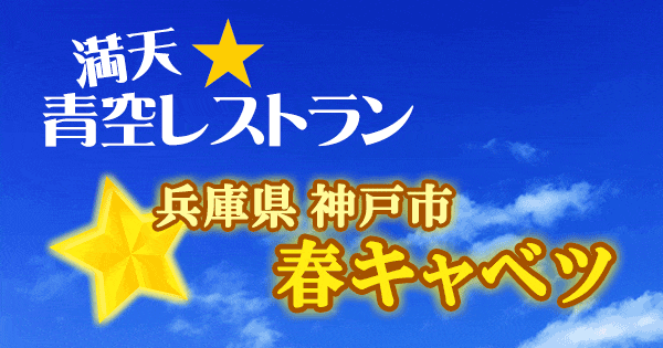 青空レストラン 兵庫 神戸 北区 春キャベツ