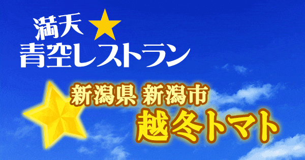 青空レストラン 新潟 越冬トマト