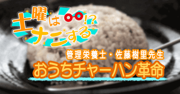 土曜はナニする 10分ティーチャー チャーハン レシピ おうちチャーハン革命