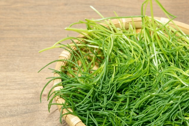 世界一受けたい授業 レシピ 春野菜 おかひじき