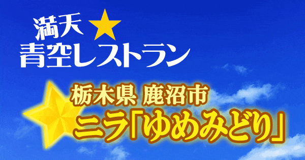 青空レストラン 栃木 鹿沼市 ニラ ゆめみどり