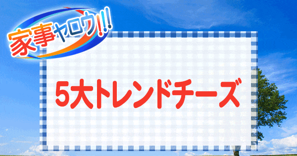 家事ヤロウ 5大 トレンド チーズ