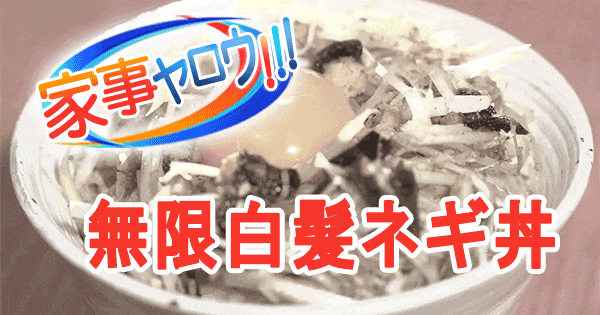 家事ヤロウ ネギカッター 無限白髪ネギ丼