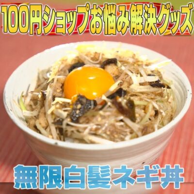 家事ヤロウ ネギカッター 無限白髪ネギ丼