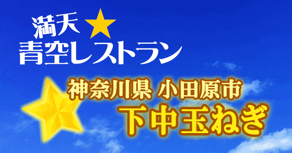 青空レストラン 神奈川 小田原 下中 玉ねぎ