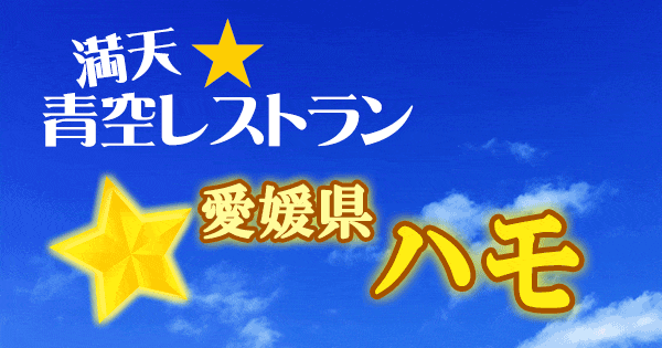 青空レストラン 愛媛県 ハモ