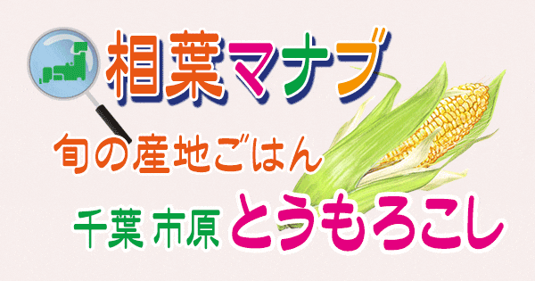 相葉マナブ とうもろこし 千葉 市原 旬の産地ごはん