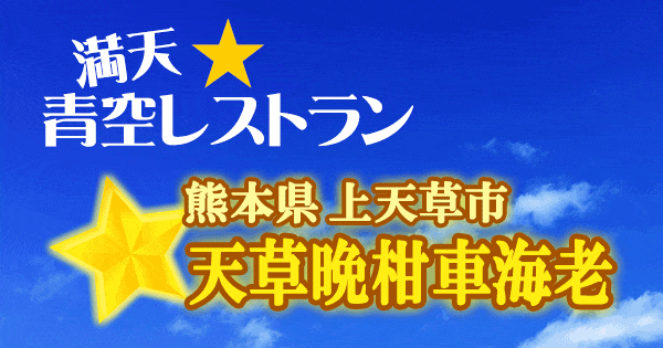 青空レストラン 熊本 上天草市 天草晩柑車海老