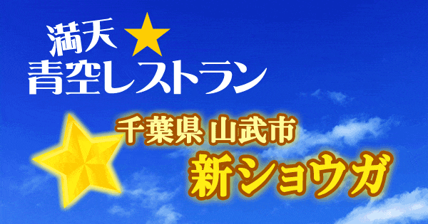 青空レストラン 新ショウガ 生姜 千葉県 山武市