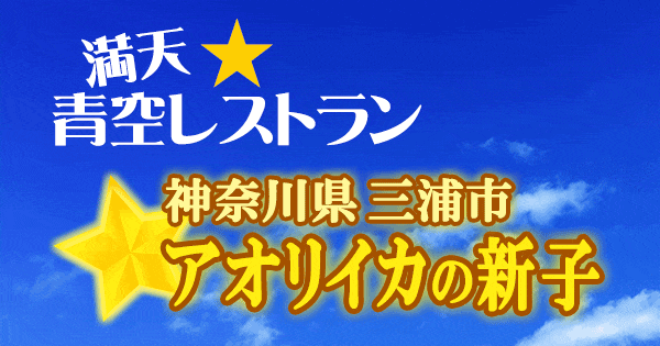 青空レストラン アオリイカ 新子 神奈川 三浦市