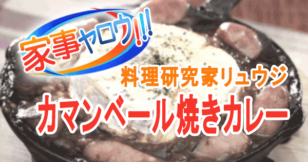 家事ヤロウ カマンベール焼きカレー 料理研究家 リュウジ