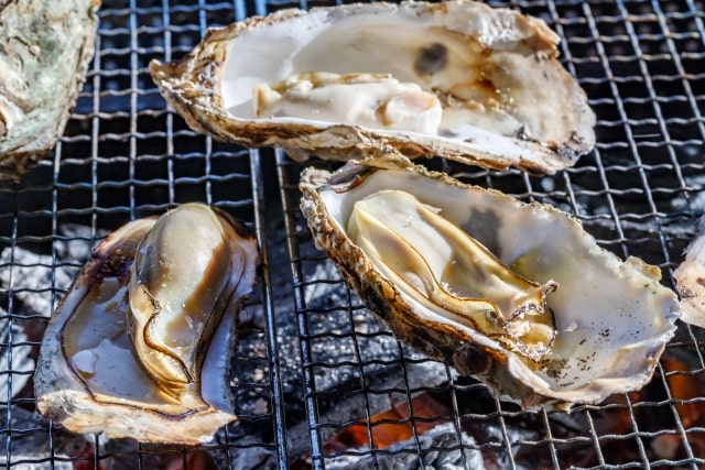 相葉マナブ 宮城県 松島 牡蠣 カキ