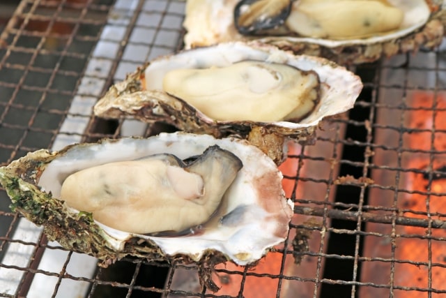 相葉マナブ 宮城県 松島 牡蠣 カキ