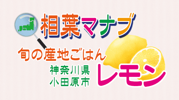 相葉マナブ 旬の産地ごはん 小田原レモン