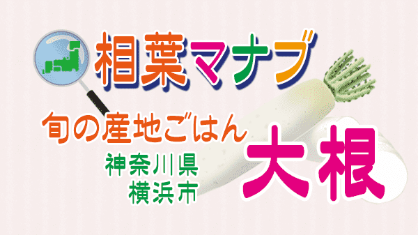 相葉マナブ 旬の産地ごはん 大根 神奈川 横浜市