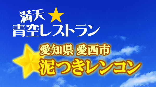 青空レストラン 泥つきレンコン 愛知県 愛西市