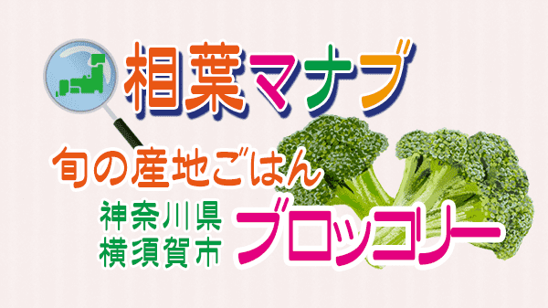 相葉マナブ 旬の産地ごはん 神奈川 横須賀 ブロッコリー