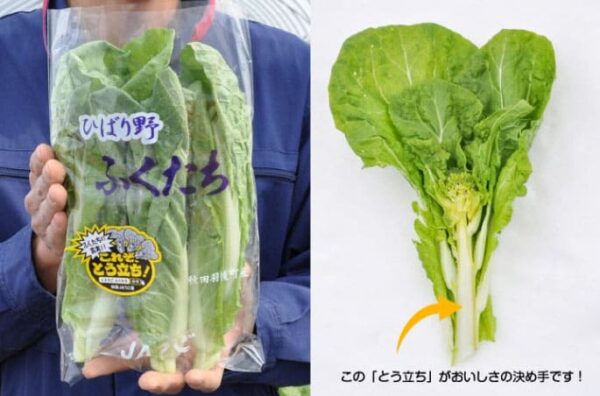 青空レストラン 幻の春野菜 ふくたち 秋田県 雄勝郡 羽後町