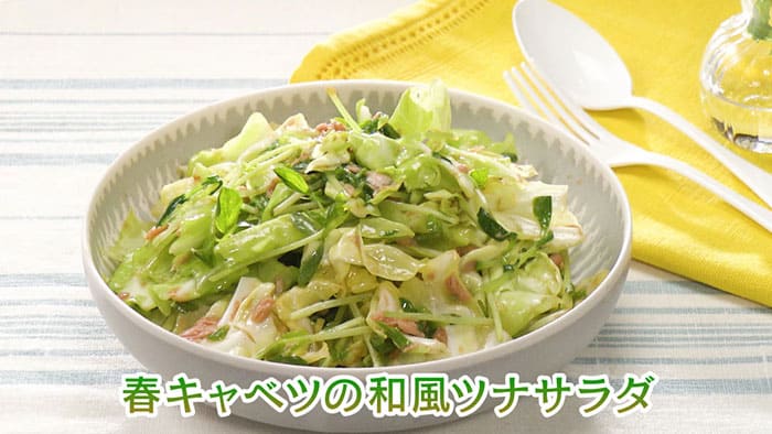 きょうの料理 ビギナーズ 食べ方いろいろ 春キャベツ