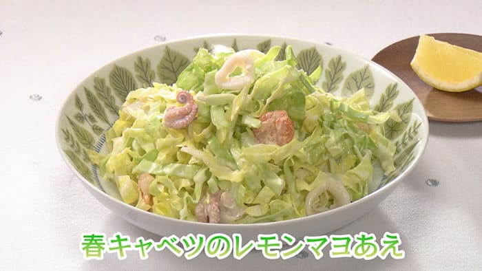 きょうの料理 ビギナーズ 食べ方いろいろ 春キャベツ