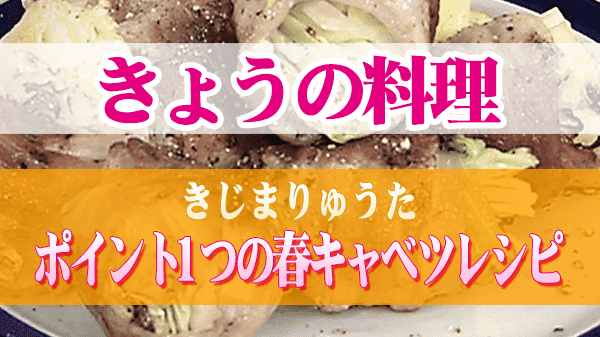 きょうの料理 きじまりゅうた ポイント1つの春キャベツレシピ