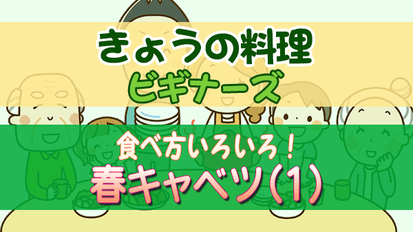 きょうの料理 ビギナーズ 食べ方いろいろ 春キャベツ