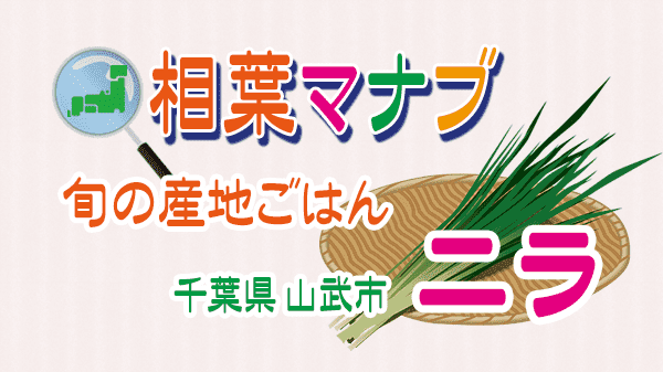 相葉マナブ 旬の産地ごはん ニラ 千葉県 山武市