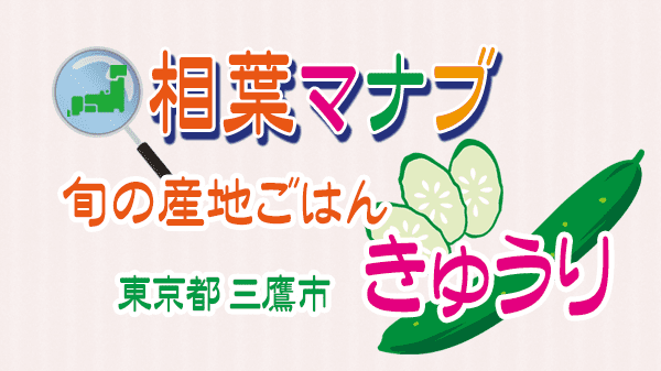 相葉マナブ 旬の産地ごはん きゅうり 東京都 三鷹市