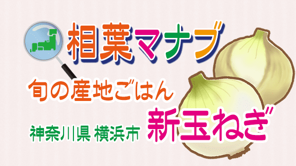 相葉マナブ 横浜 新玉ねぎ 旬の産地ごはん