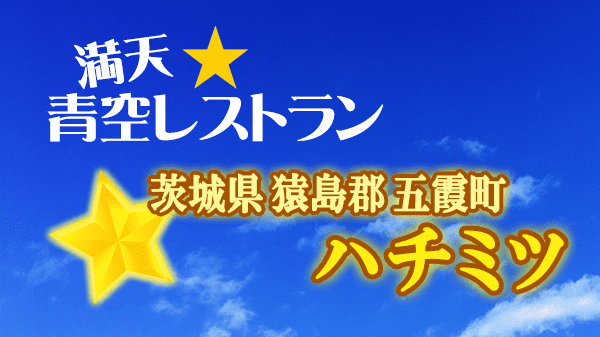 青空レストラン ハチミツ 茨城県 猿島郡 五霞町