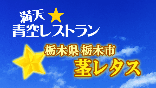 青空レストラン 栃木県 栃木市 茎レタス