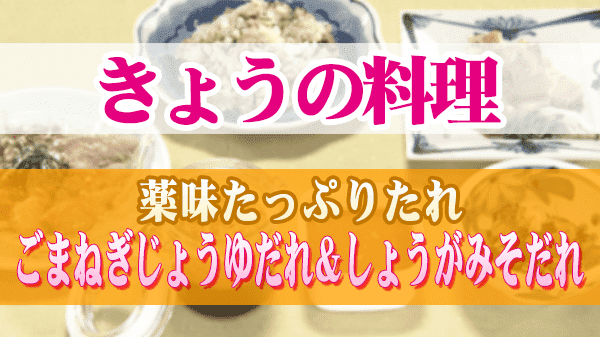 きょうの料理 薬味たっぷりたれ ごまねぎじょうゆだれ＆しょうがみそだれ