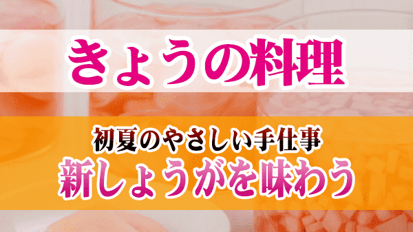 きょうの料理 初夏のやさしい手仕事 新しょうがを味わう