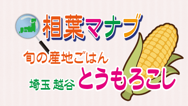 相葉マナブ とうもろこし 旬の産地ごはん 埼玉県 越谷市