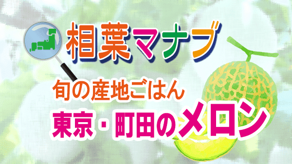相葉マナブ 旬の産地ごはん 東京 町田 メロン まちだシルクメロン