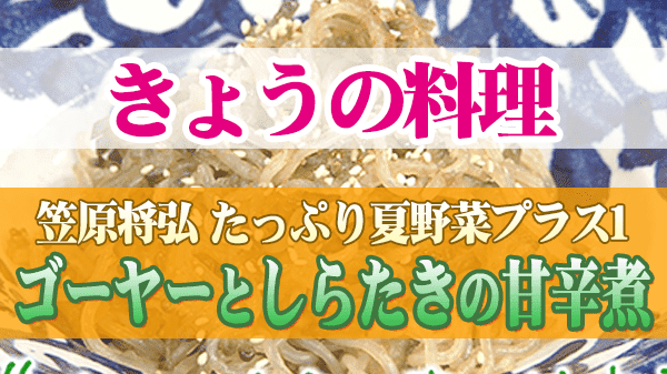 きょうの料理 笠原将弘 たっぷり夏野菜プラス1 ゴーヤーとしらたきの甘辛煮