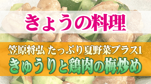 きょうの料理 笠原将弘 たっぷり夏野菜プラス1 きゅうりと鶏肉の梅炒め