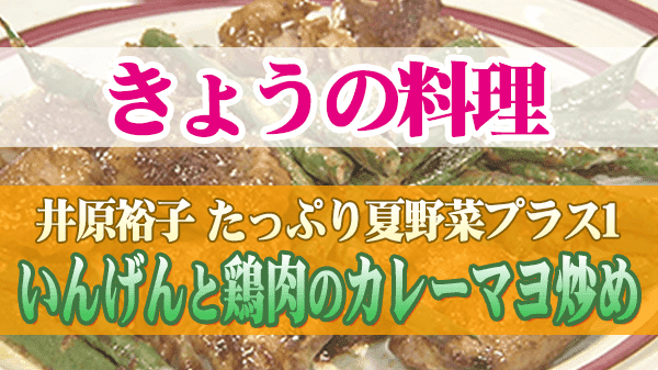 きょうの料理 井原裕子 たっぷり夏野菜プラス1 いんげんと鶏肉のカレーマヨ炒め