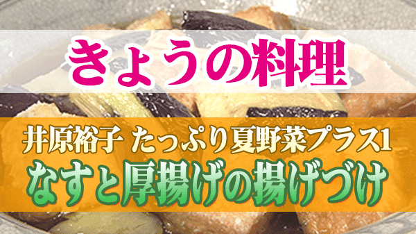 きょうの料理 井原裕子 たっぷり夏野菜プラス1 なすと厚揚げの揚げづけ