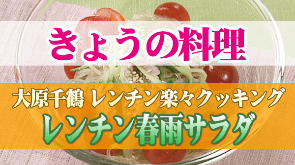 きょうの料理 大原千鶴のひとりごはん レンチン楽々クッキング レンチン春雨サラダ