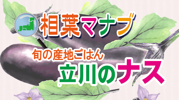 相葉マナブ 旬の産地ごはん 立川 ナス