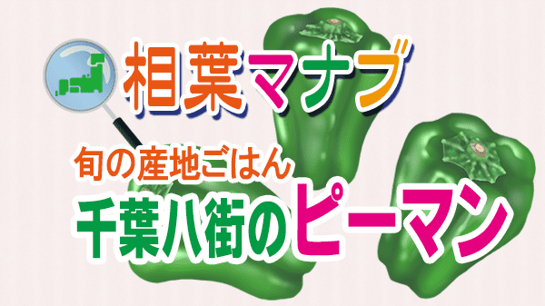 相葉マナブ 旬の産地ごはん ピーマン 千葉県 八街市