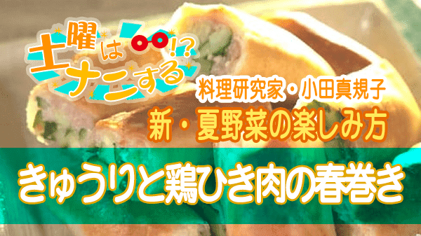 土曜はナニする 新・夏野菜の楽しみ方 きゅうりと鶏ひき肉の春巻き