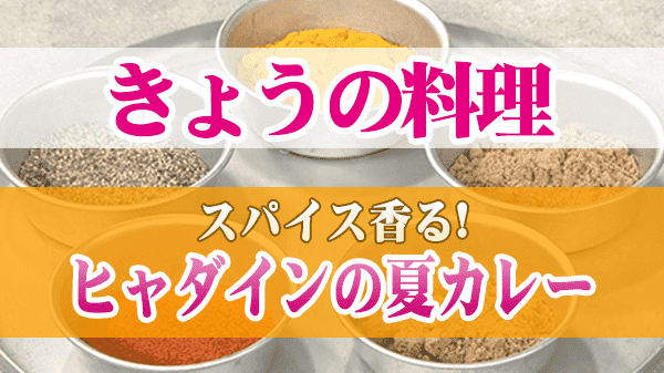 きょうの料理 スパイス香る! ヒャダインの夏カレー