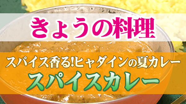 きょうの料理 スパイス香る! ヒャダインの夏カレー スパイスカレー