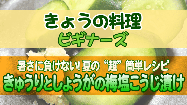 きょうの料理 ビギナーズ きゅうりとしょうがの梅塩こうじ漬け