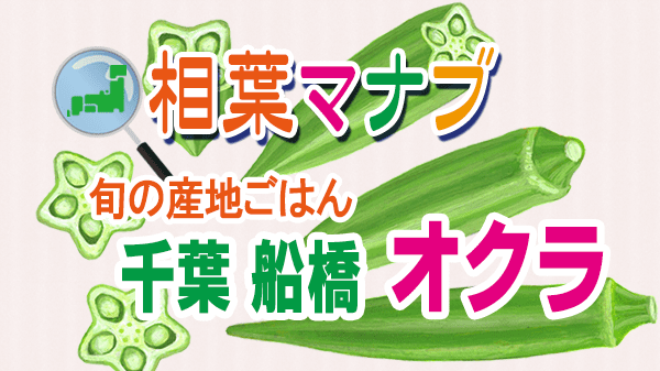 相葉マナブ 旬の産地ごはん オクラ 千葉 船橋