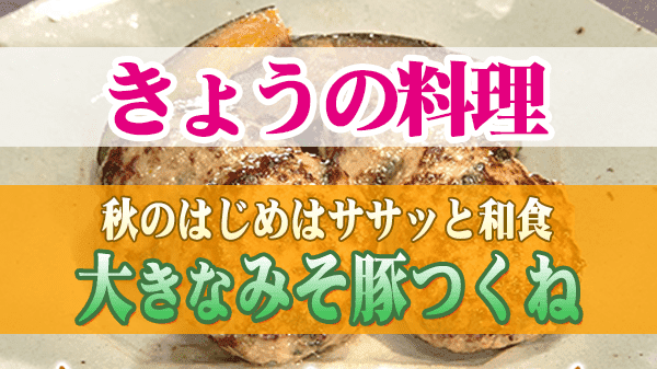 きょうの料理 秋のはじめはササッと和食 大きなみそ豚つくね