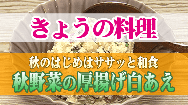 きょうの料理 秋のはじめはササッと和食 秋野菜の厚揚げ白あえ